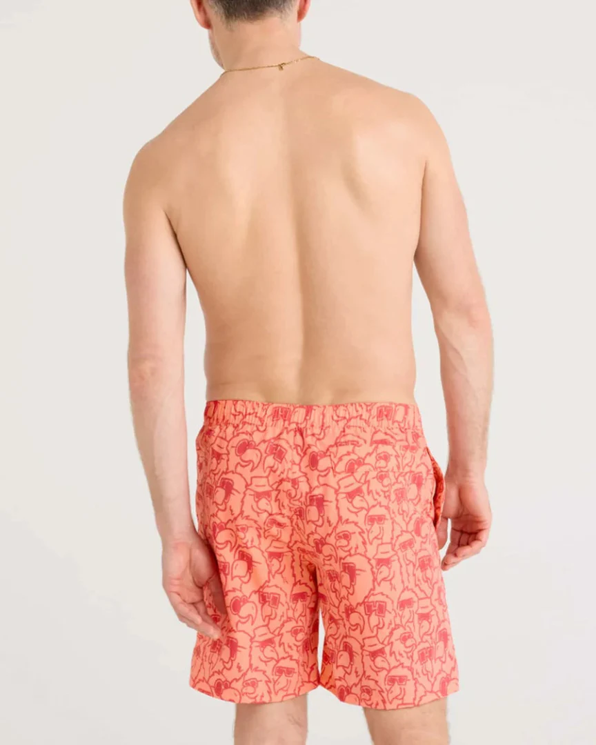 SAXX Men's Go Coastal 2-in-1 7" Volley Swim Shorts - Image 2