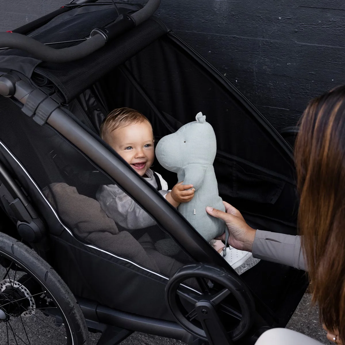 Thule Chariot Sport 2 Child Trailer - Image 10